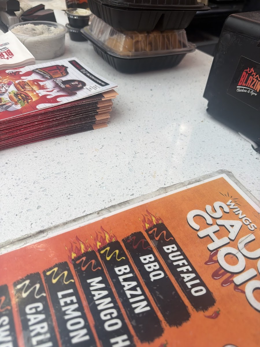 Blazin Chicken & Gyro - photo 2