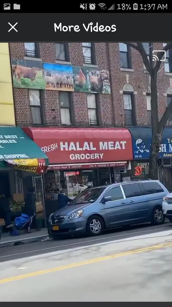 Fresh Halal Meat - photo 5