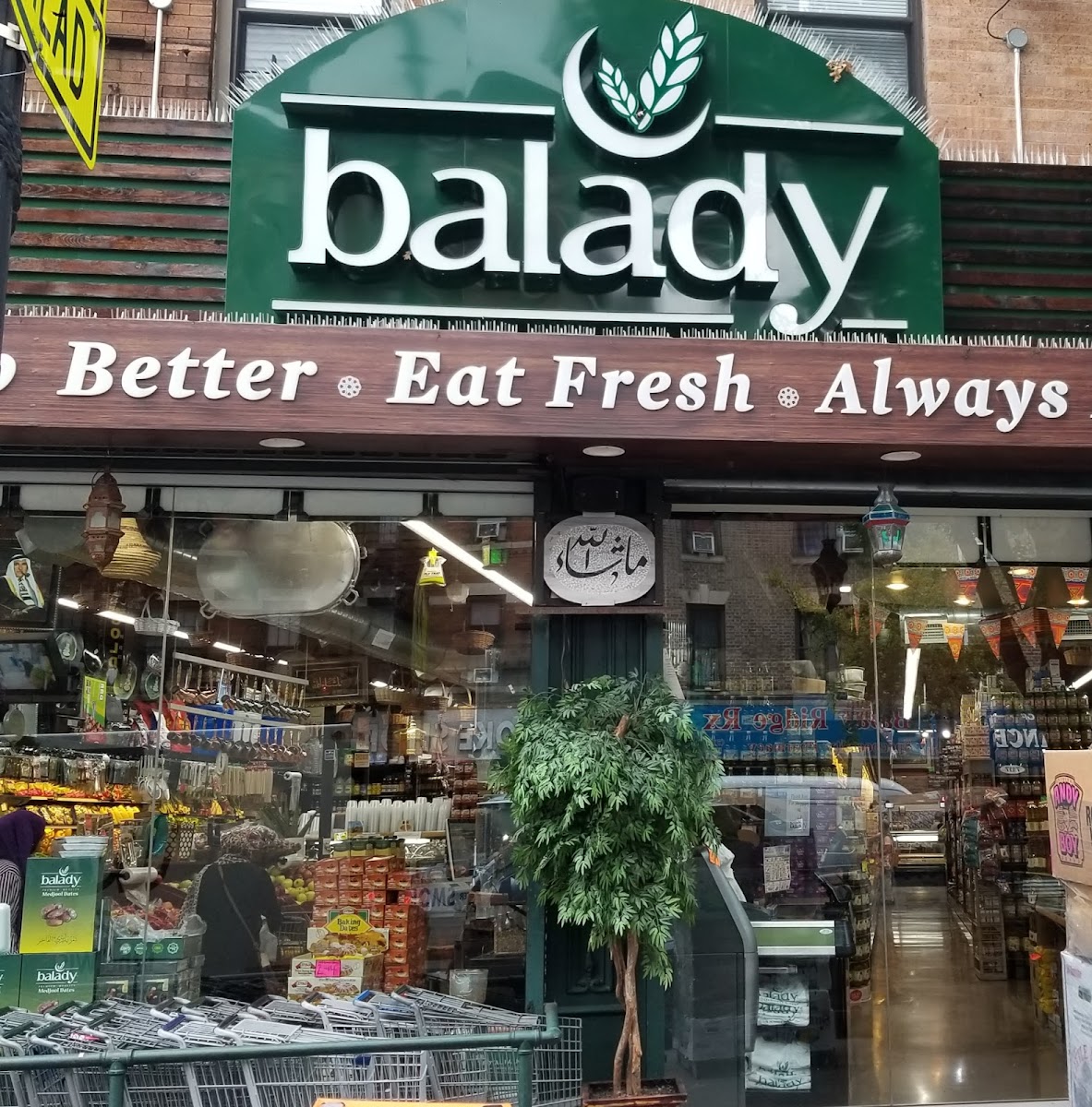Balady Halal Foods - photo 4