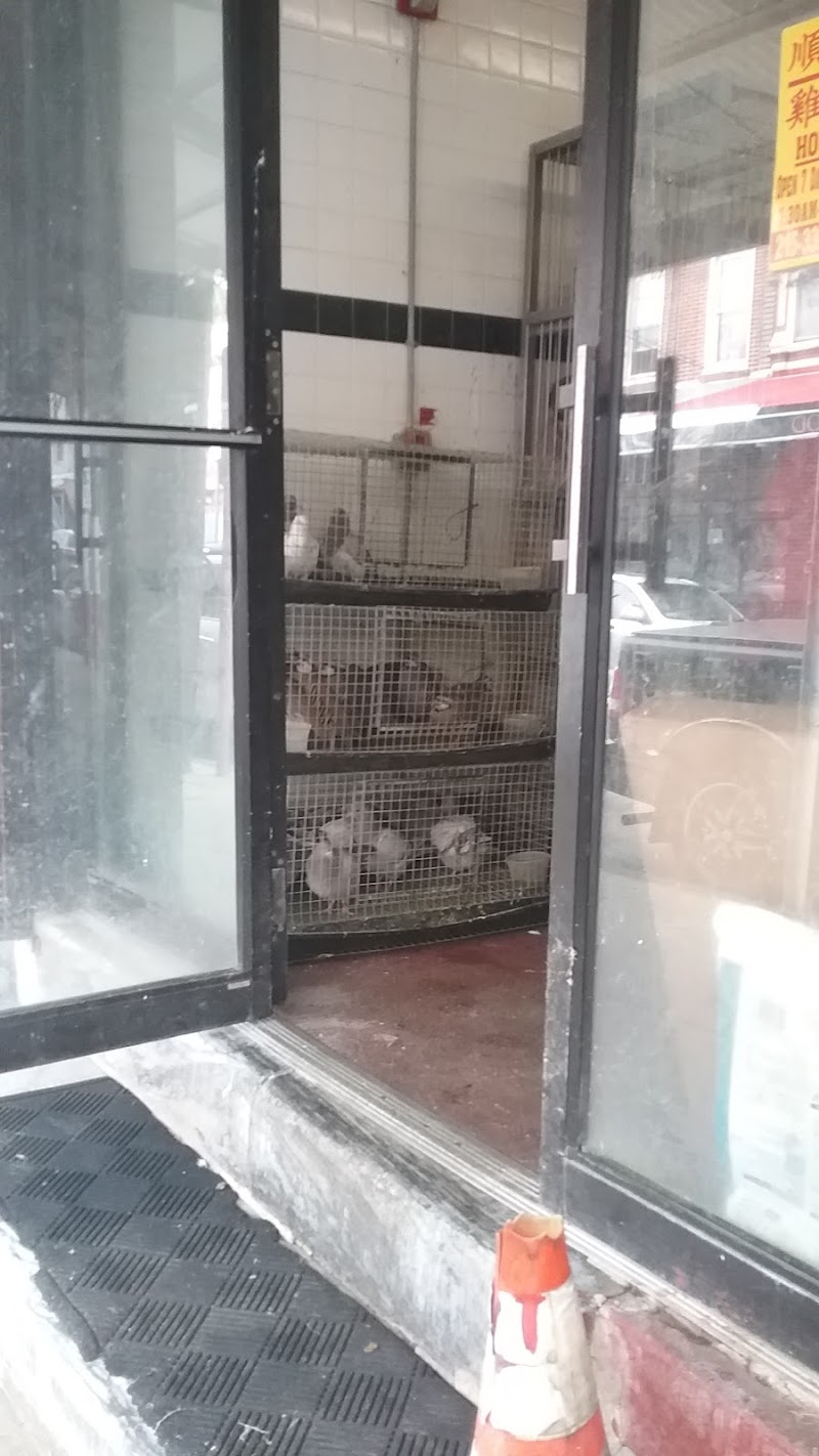 Amana Halal Live Poultry, El Vivero حلال