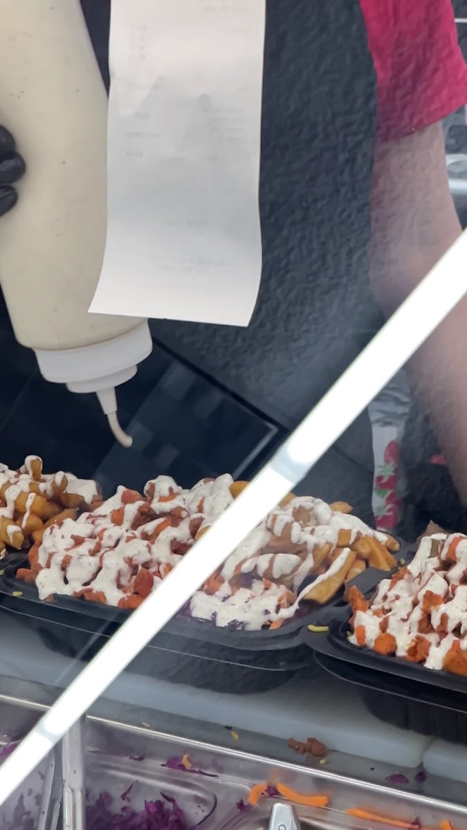 Blazin Chicken & Gyro - photo 3