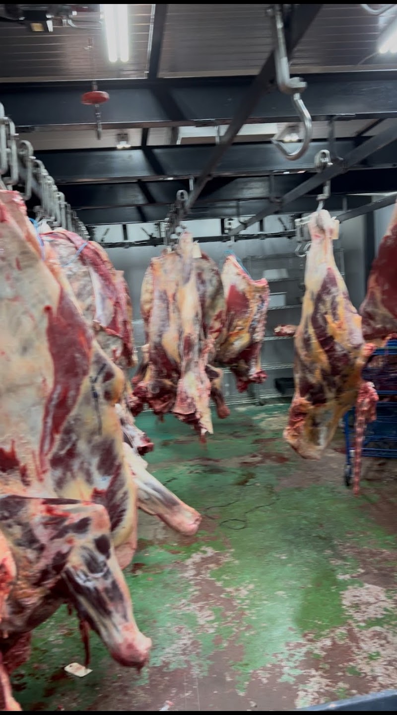 Samit & Sajid Qurbani House - photo 2