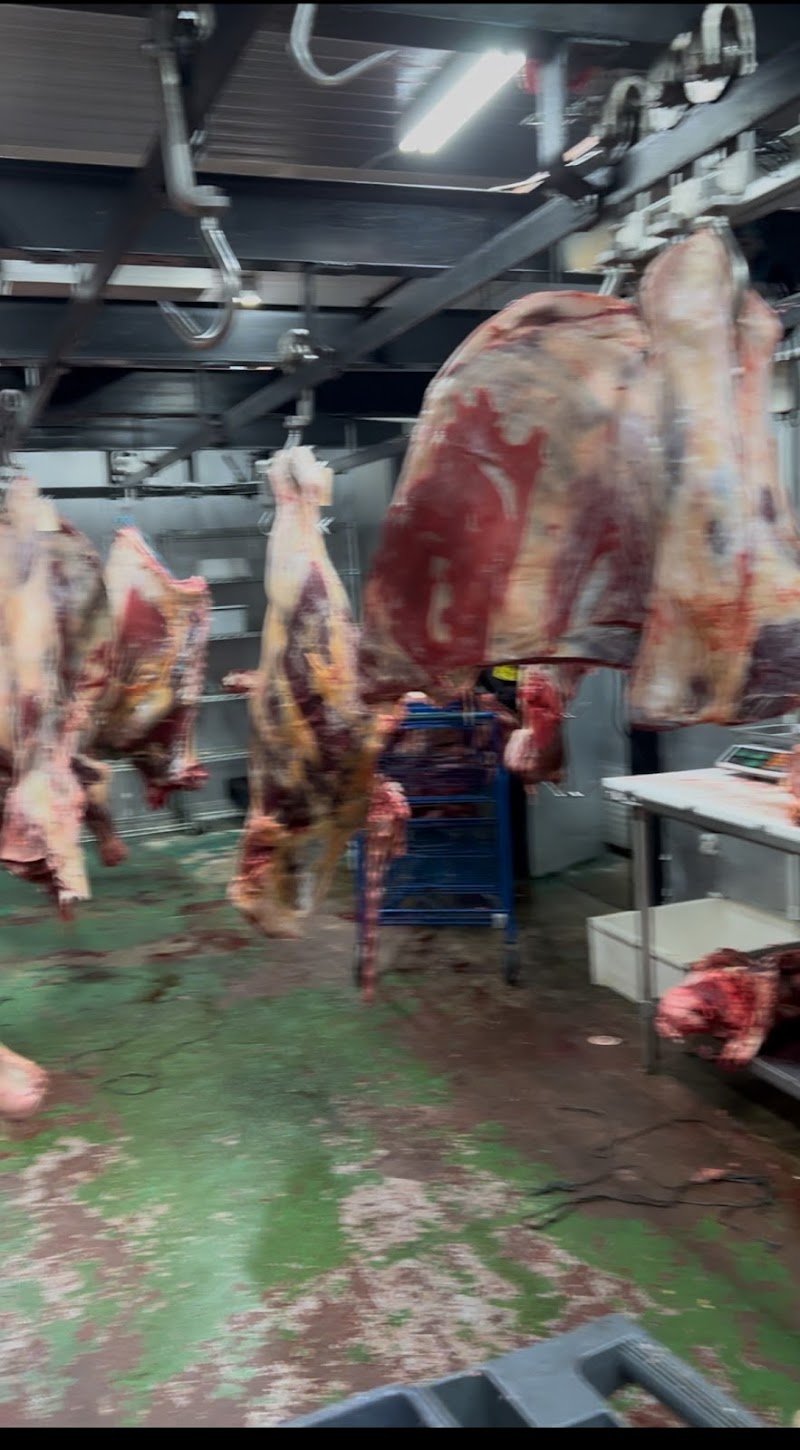 Samit & Sajid Qurbani House - photo 4