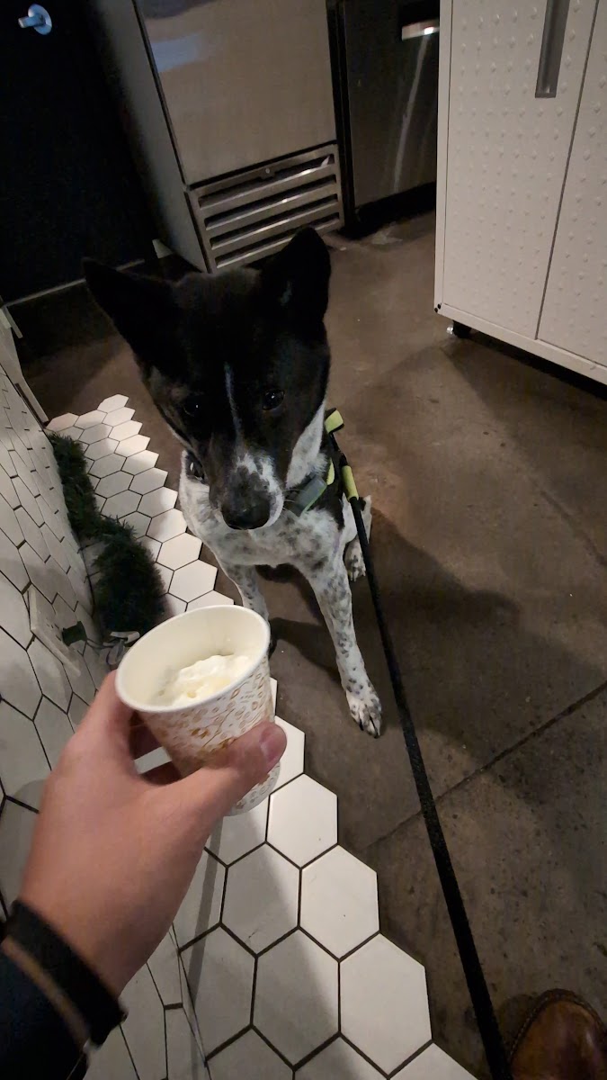 Hidden Grounds Chai & Coffee House - photo 3