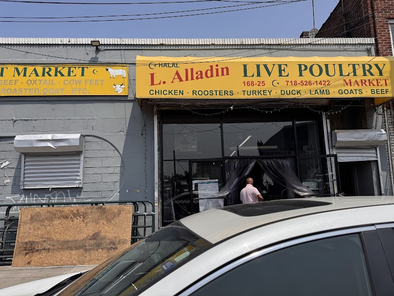 L. Alladin Live Poultry