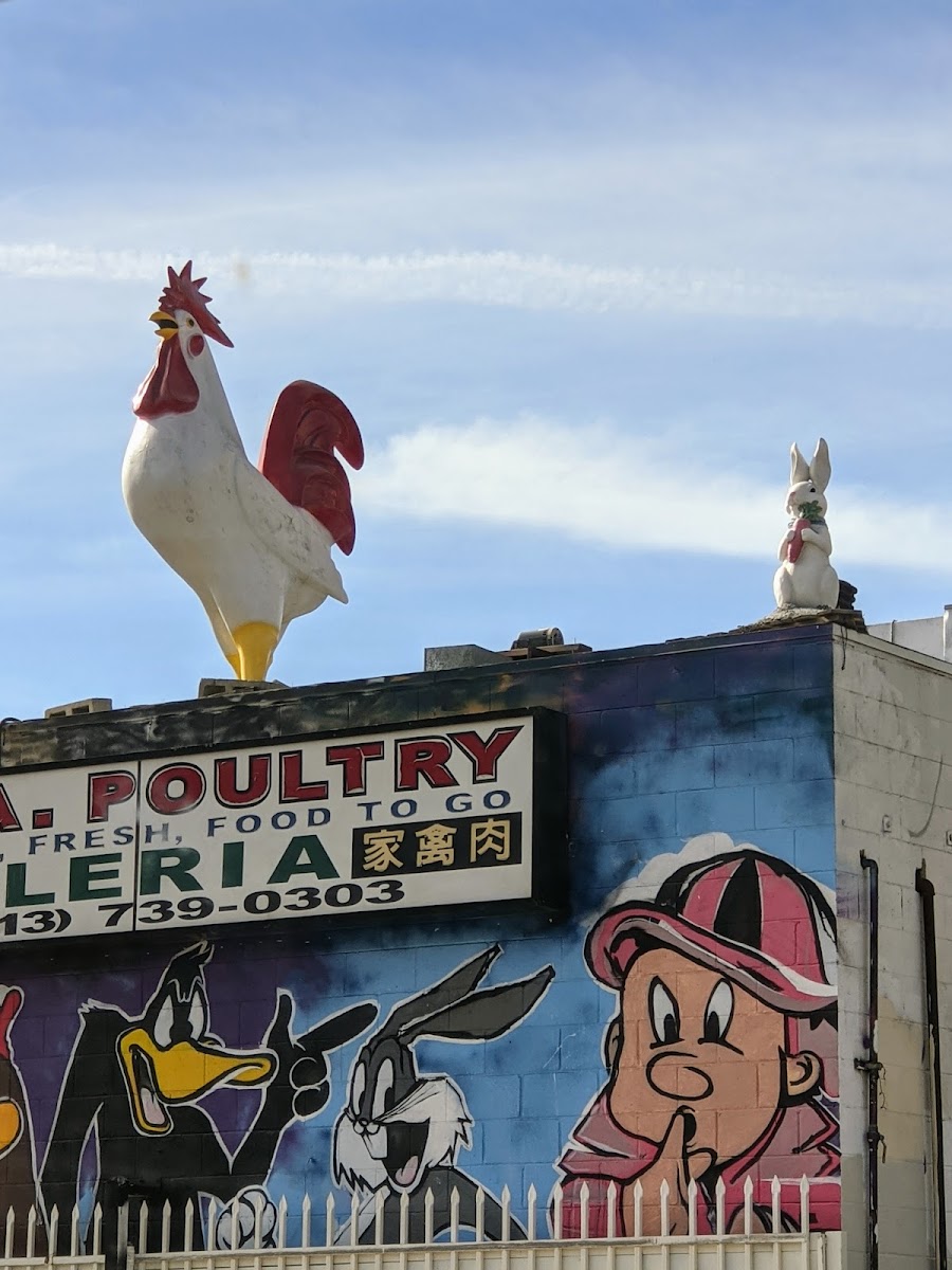 LA Fresh Poultry - photo 3