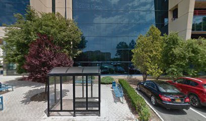 Capital Property Advisors LLC