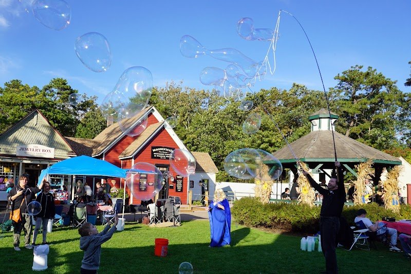 Bubbletopia - photo 3