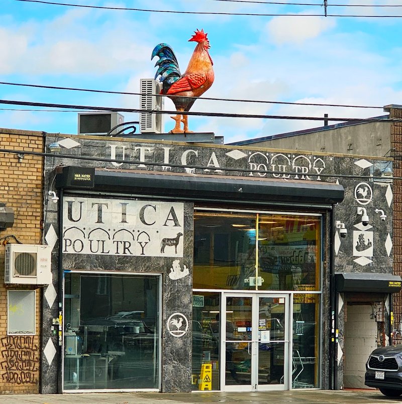 Utica Halal Live Poultry