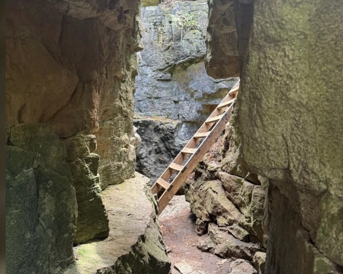Limehouse conservation area – 8km+ hike – [Free Parking] - Victoria Day