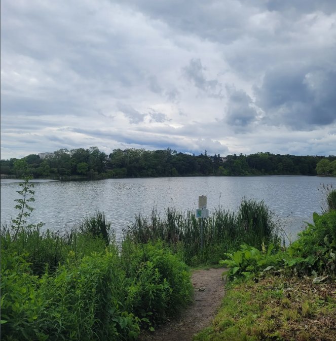 [Toronto – 5km – Easy] – High park – Cherry blossoms