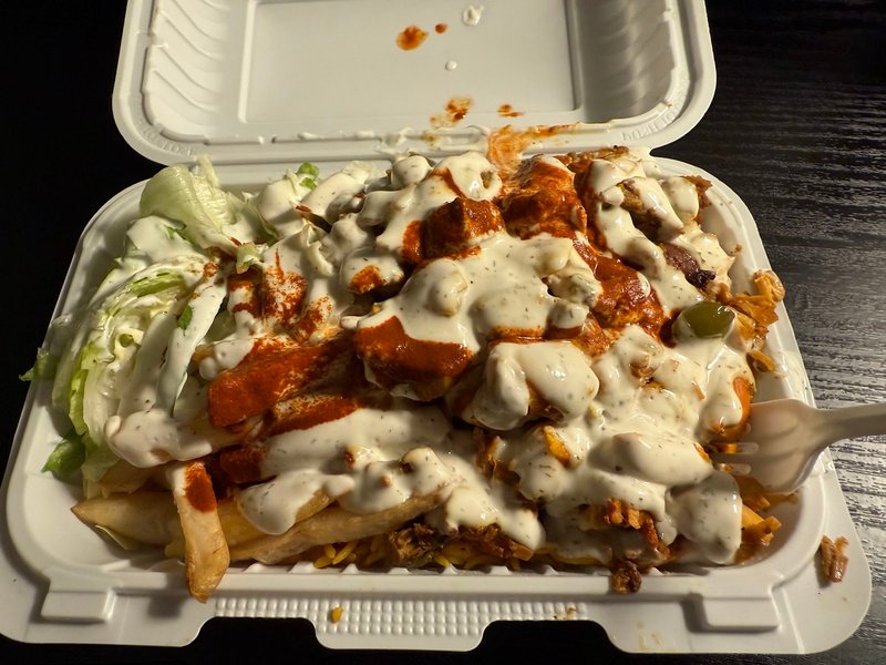 The Halal City Food Truck - photo 4