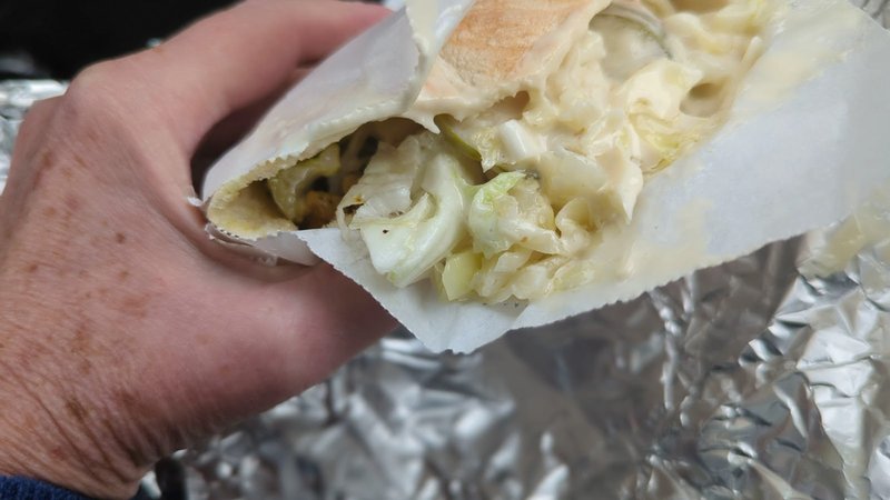 Beyond Pita - photo 3