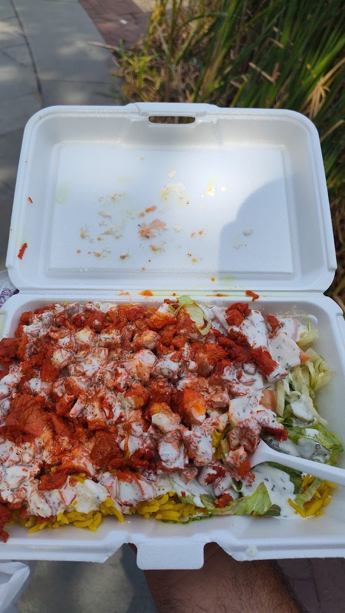 HALAL FOOD TRUCK - photo 3