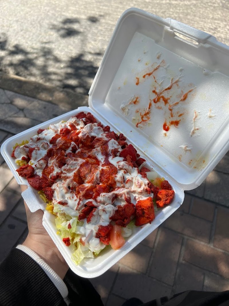 Halal Taste Food Cart - photo 4