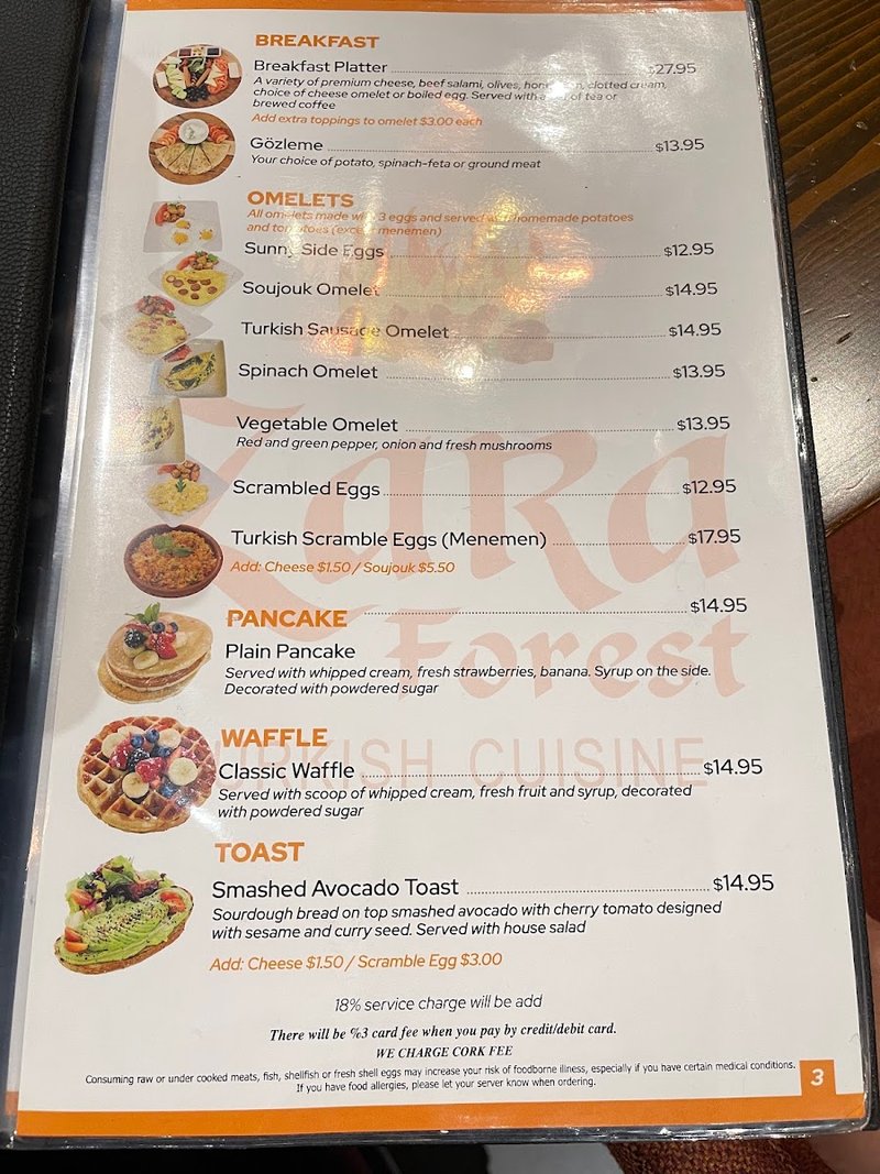 Zara Forest Grill - photo 4